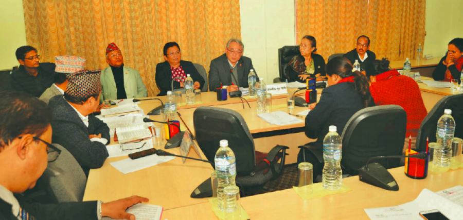 House committees matter, but they don’t matter. In Nepal, mini parliaments are failing in their job